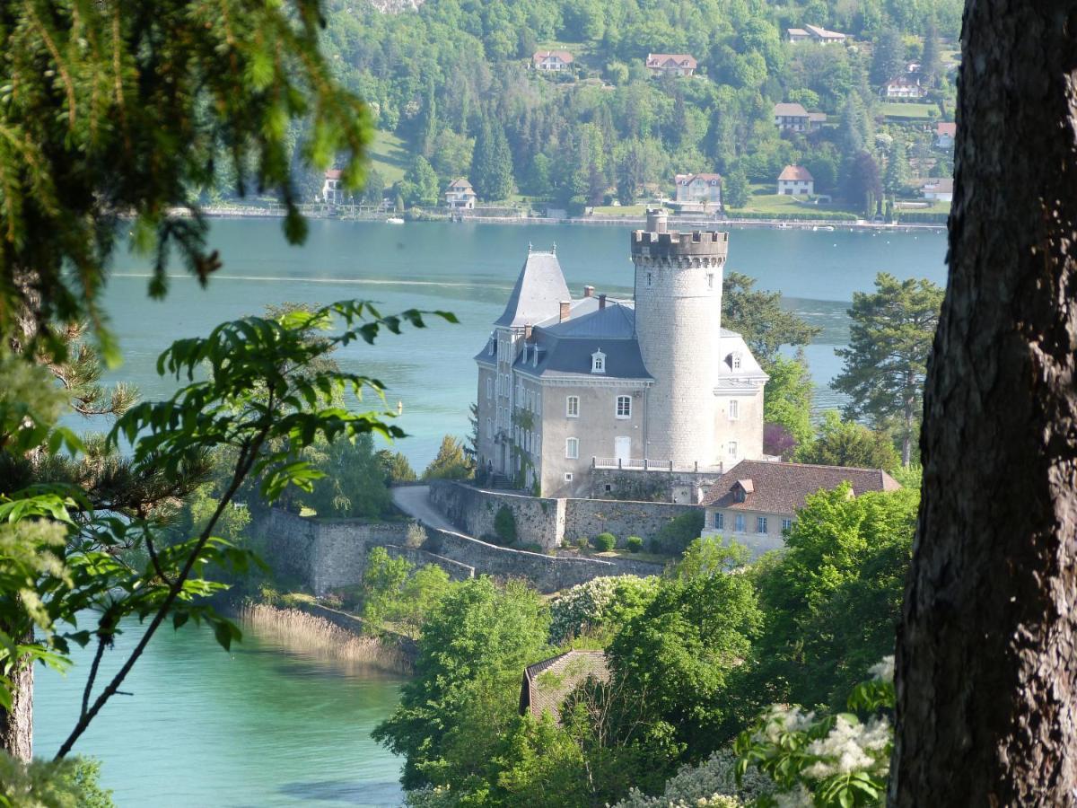 Au Bord Du Lac D'Annecy, Logement Type Loft, Dans Residence Avec Plage Et Ponton Privee Дюэн Экстерьер фото