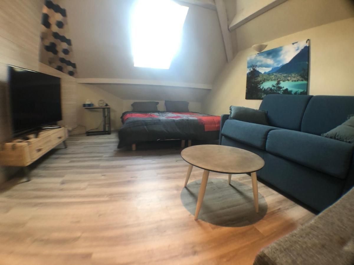 Au Bord Du Lac D'Annecy, Logement Type Loft, Dans Residence Avec Plage Et Ponton Privee Дюэн Экстерьер фото